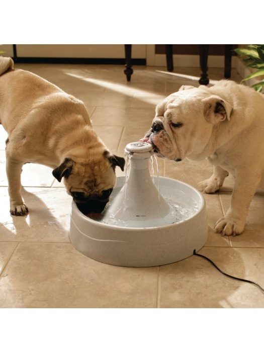 фото Автопоилка для собак и кошек Питьевой фонтан Drinkwell 360 из пластика