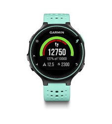 фото Garmin Forerunner 235 Blue