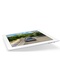 фото Apple iPad 2 32Gb Wi-Fi + 3G (Белый/White)