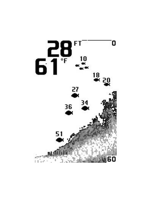 фото Humminbird PiranhaMax 170