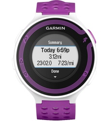 фото Garmin Forerunner 220 White/Violet HRM