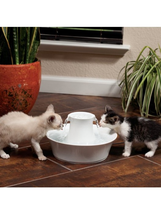 фото Автопоилка для собак и кошек Питьевой фонтан Drinkwell Avalon керамический