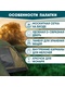фото Палатка трехместная JUNGLE CAMP DALLAS 3, 3-х местная