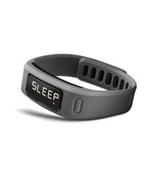 фото Garmin vivofit slate