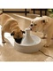 фото Автопоилка для собак и кошек Питьевой фонтан Drinkwell 360 из пластика
