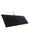 фото Клавиатура Razer Cynosa Chroma (RZ03-02260800-R3R1)