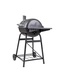 фото Гриль GoGarden Grill-Master 48