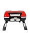 фото Газовый гриль Libhof Travel Grill Q-100