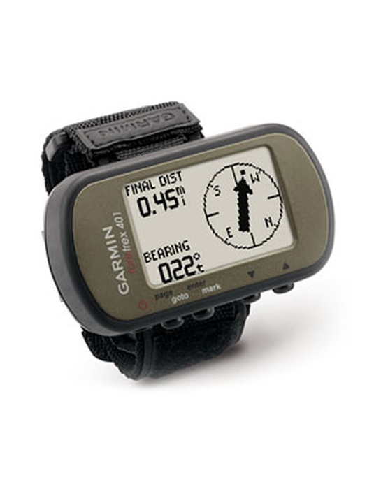 фото Garmin Foretrex 401