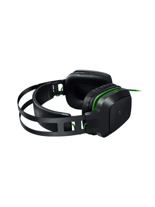 фото Компьютерная гарнитура Razer Electra V2 (RZ04-02210100-R3M1)