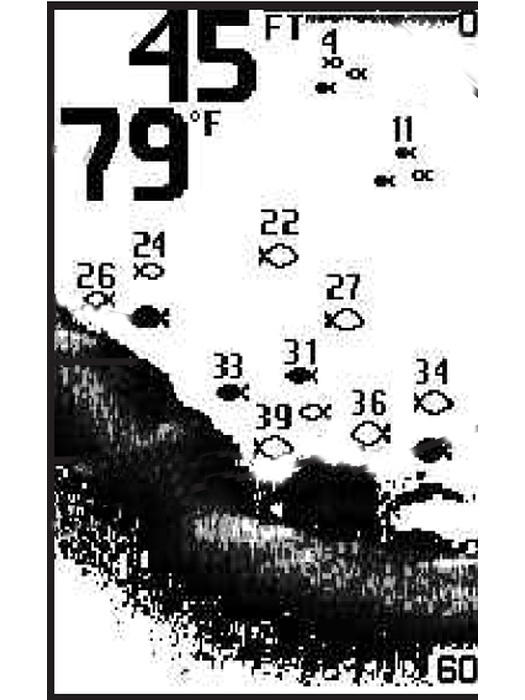 фото Humminbird PiranhaMAX 180xRU