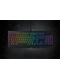 фото Клавиатура Razer Cynosa Chroma (RZ03-02260800-R3R1)