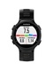 фото Garmin FORERUNNER 735 XT HRM-Tri-Swim черно-серые (010-01614-09)