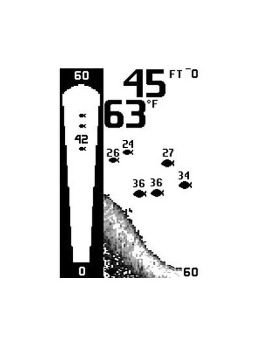 фото Humminbird PiranhaMax 150