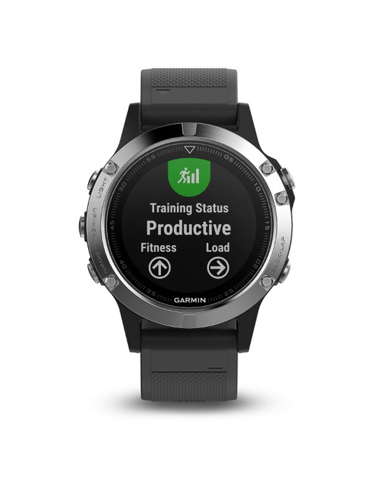 фото Garmin FENIX 5 серебристые с черным ремешком (010-01688-03)