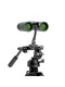 фото Бинокль Celestron Nature DХ 8x32 Roof