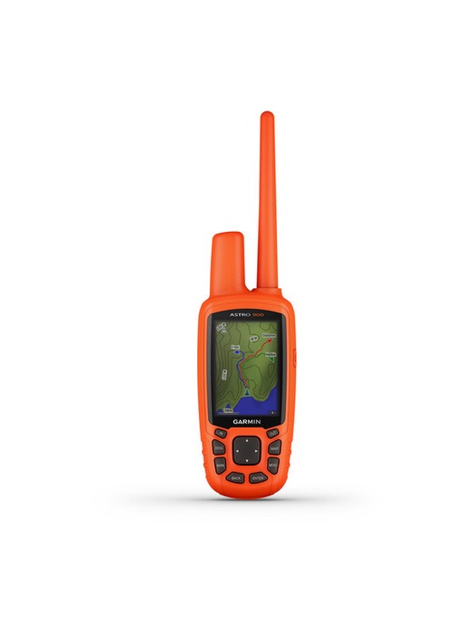 фото GPS-ошейник Garmin Astro 900 с ошейником Garmin T9