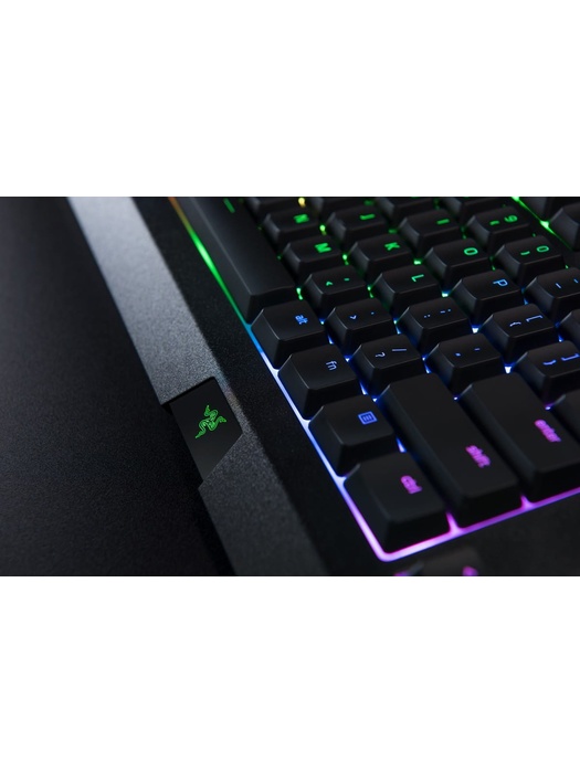 фото Клавиатура Razer Cynosa Chroma (RZ03-02260800-R3R1)