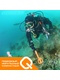 фото Металлоискатель Deteknix Quest Scuba Tector