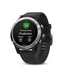 фото Garmin FENIX 5 серебристые с черным ремешком (010-01688-03)