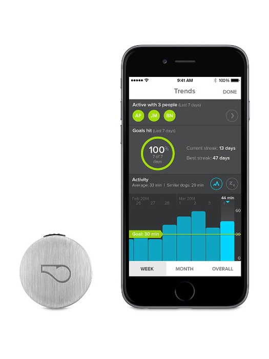 фото Трекер активности для собак Whistle Activity Monitor  