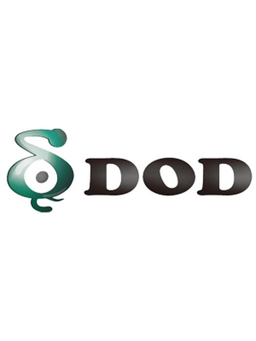 фото DOD LS530 с записью Super Full HD