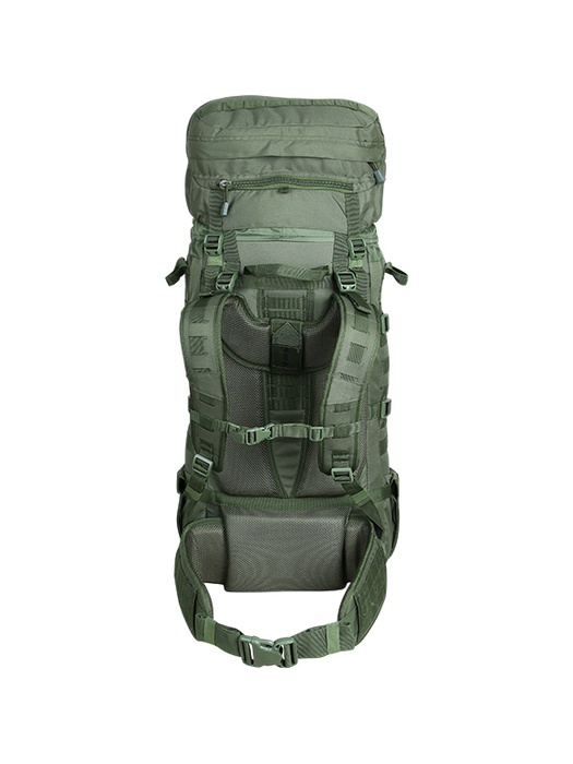 фото Трекинговый рюкзак Сплав Raptor 60 green (olive)