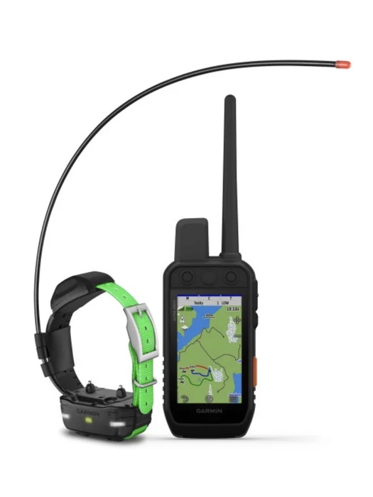 фото GPS-ошейник Garmin Alpha 200i с ошейником TT 15