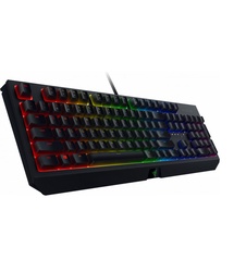 фото RAZER Blackwidow USB черная (RZ03-02861100-R3R1)