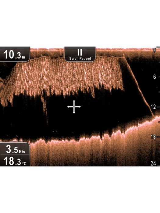 фото Raymarine Dragonfly 7