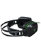 фото Компьютерная гарнитура Razer Electra V2 USB (RZ04-02220100-R3M1)