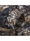 фото Костюм для охоты и рыбалки «Свелл» (полофлис, тундра) КВЕСТ (подкладка флис)