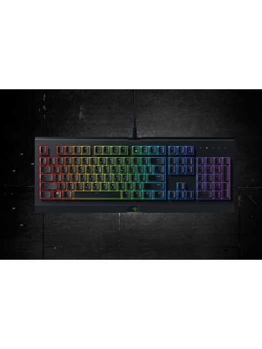 фото Клавиатура Razer Cynosa Chroma (RZ03-02260800-R3R1)