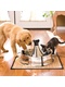 фото Автопоилка для собак и кошек Питьевой фонтан Drinkwell 360 из нержавеющей стали