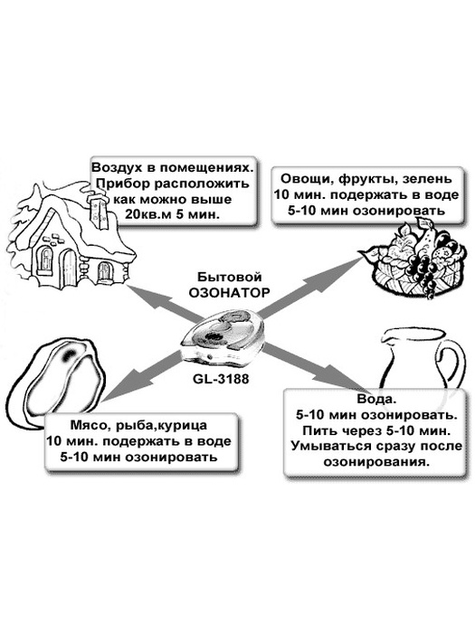 фото Озонатор GL-3188