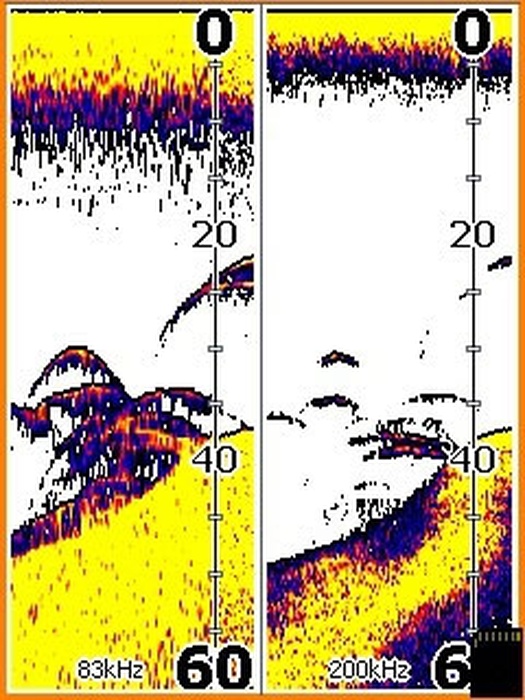 фото Lowrance Elite-3x (000-11448-001)