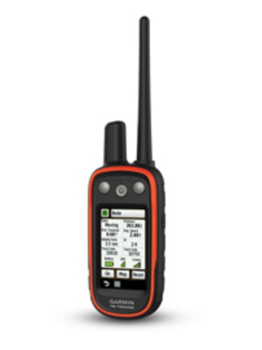 фото GPS-ошейник Garmin Atemos 100/K5 System