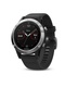 фото Garmin FENIX 5 серебристые с черным ремешком (010-01688-03)