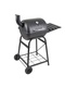 фото Гриль GoGarden Grill-Master 48