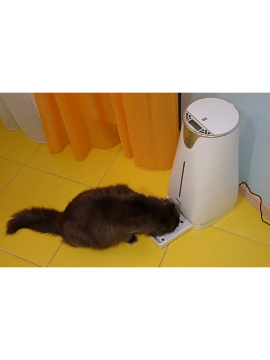 фото Автокормушка для собак и кошек с таймером "SITITEK Pets Pro" (4 кормления) (61784)